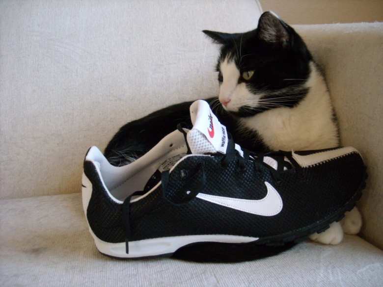 Oreo thinks that these Nike Waffle Racer VII shoes are in the best colors.