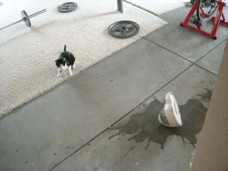 Someone knocked over the water fountain.