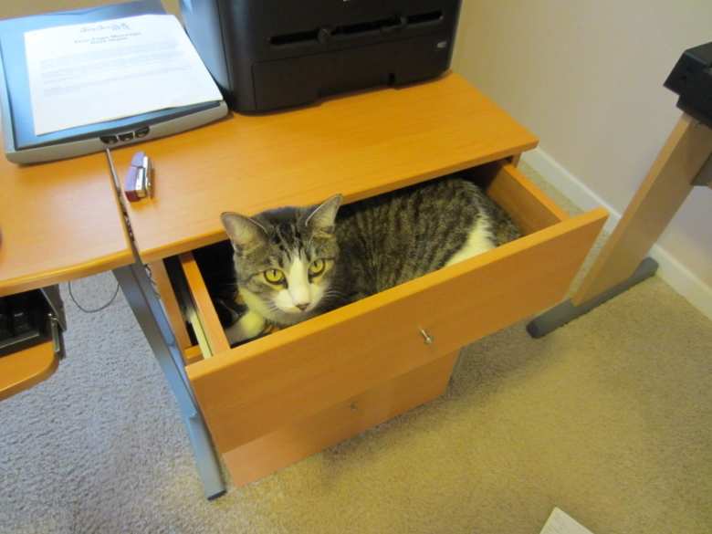 Who knew that drawers were so comfortable?