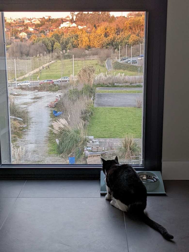 Oreo adjusted to the food and weather in Spain like a champ. Oreo adjusted to the food and weather in Spain like a champ.