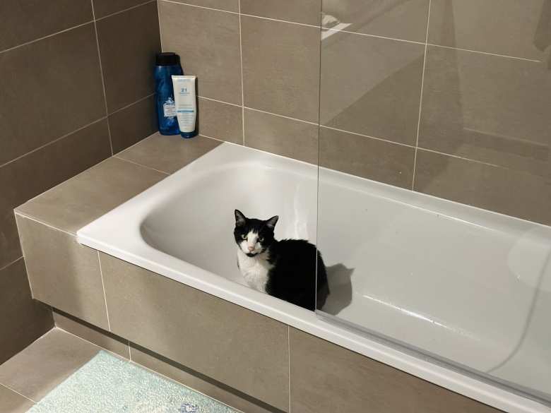 Despite being in the bathtub, Oreo didn't really need a bath as he was always clean. Despite being in the bathtub, Oreo didn't really need a bath as he was always clean.