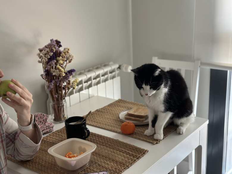 Oreo would frequently join us for breakfast. Oreo would frequently join us for breakfast.