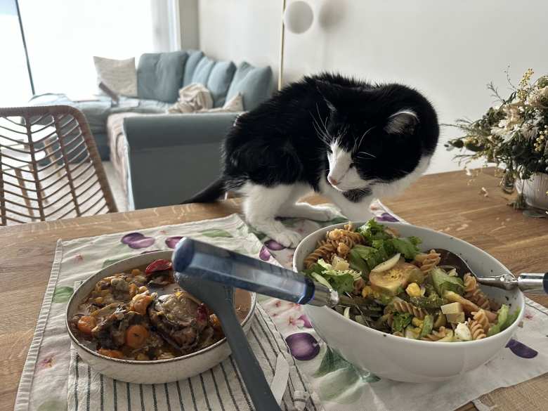 Oreo would also join us for lunch. Oreo would also join us for lunch.