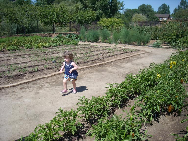 Charis' daughter Zoe running amok among the gardens.