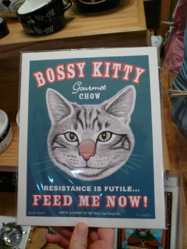 Bossy kitty: "Feed me now!"