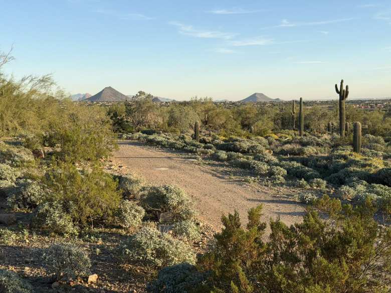 The view towards the McDowell Mountains. The view towards the McDowell Mountains.