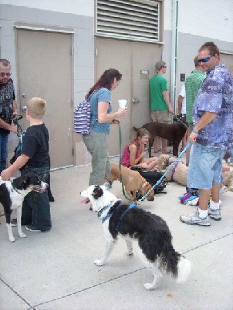 Sadiq and the other doggies eagerly awaiting their opportunity to swim in Fort Collins' City Park Pool.