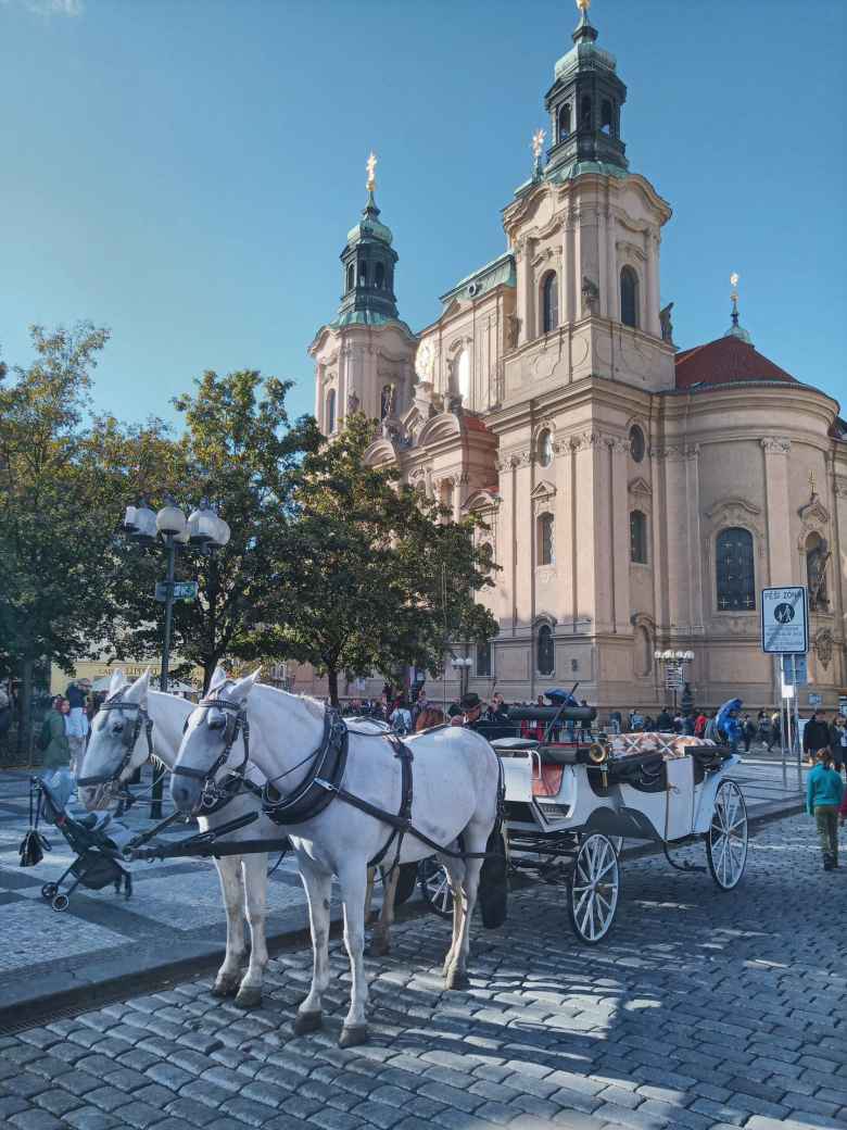 A couple horses in front of a building in Old Town in Prague.