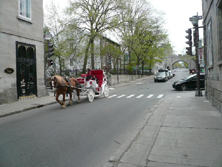 brown horse pulling white and red carriage down street in Quebec City