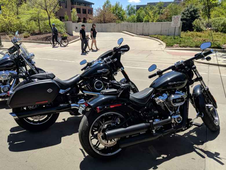 A couple of black Harley-Davidson Sportsters.