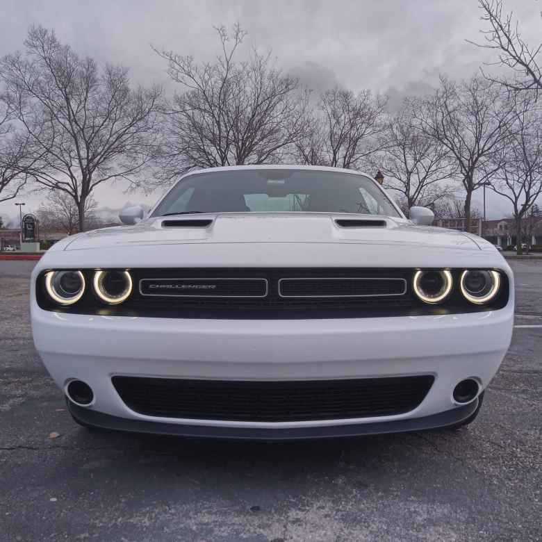 The front view of a white 2019 Dodge Challenger SXT.