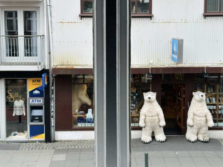 I was amused by the view of polar bears through the windows of my room at the Vintage hotel in downtown Reykjavik.