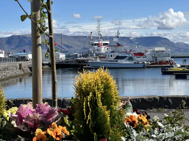 The Old Harbor of Reykjavik.