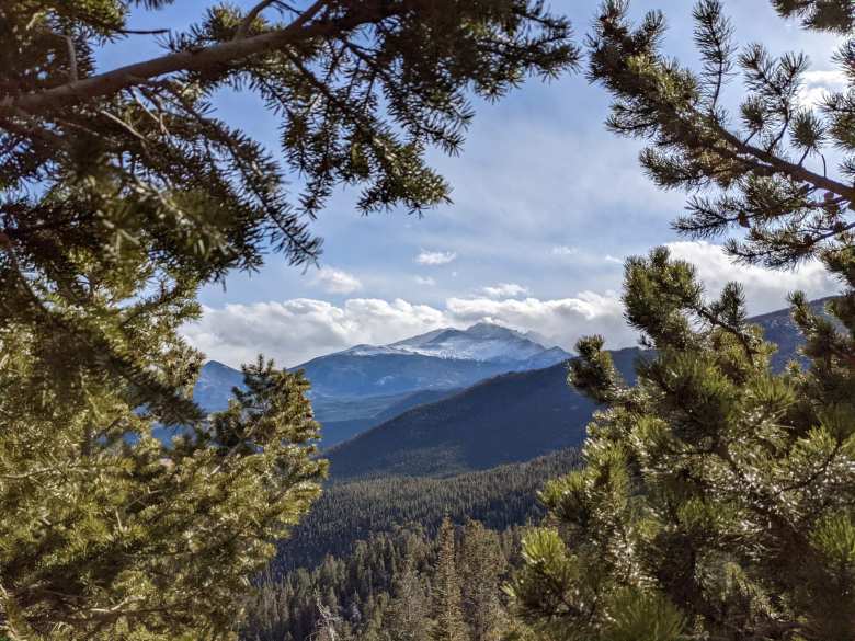 The Rocky Mountains seen through some trees.