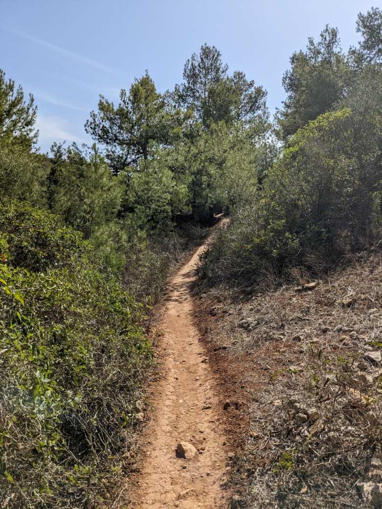 On a trail through a forest west of Salema, looking for my friends.