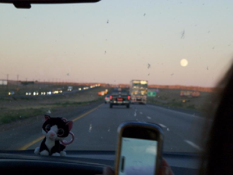 Driving towards Santa Fe and a full moon with Asiatic Wildcat on the dash.