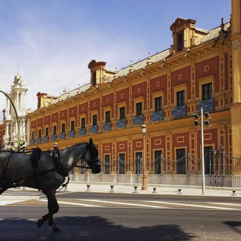 A horse in front of Palacio de San Telmo, a baroque palace and government seat in Seville, Spain. A horse in front of Palacio de San Telmo, a baroque palace and government seat in Seville, Spain.