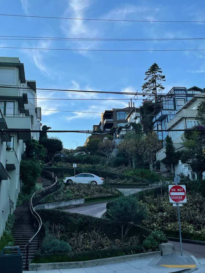 This is the famous zig-zagging Lombard Street of San Francisco.