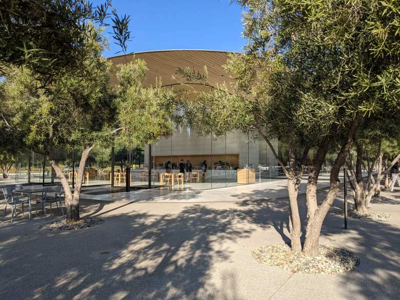 Trees outside the Apple Visitor Center in Cupertino.