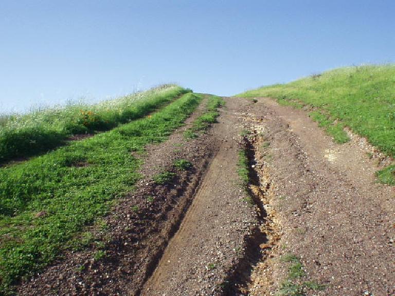 rutted dirt uphill trail with green grass on the sides