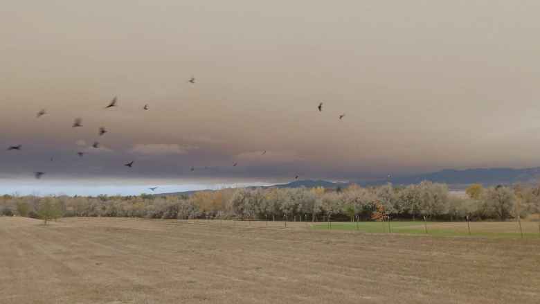 Smoke from the East Troublesome Fire, as seen from north Fort Collins, Colorado.