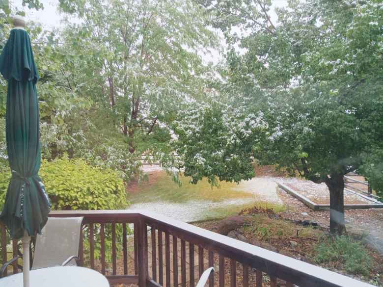 Snow in the back yard on September 8, 2020---the earliest Fort Collins has gotten snow in 130 years.