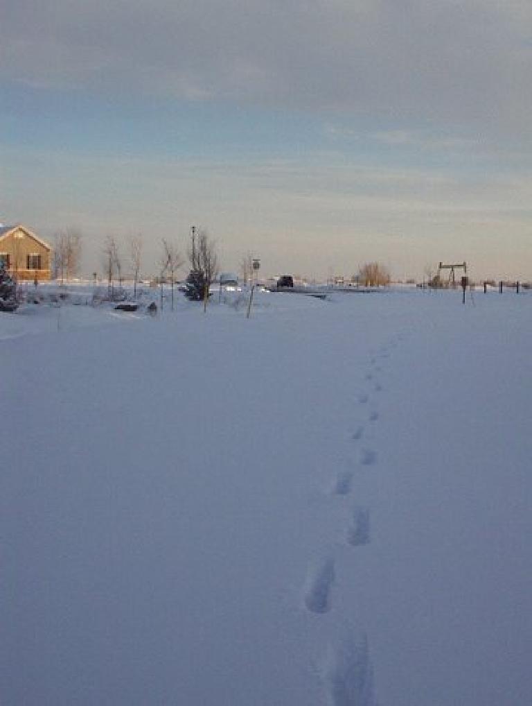 footsteps in deep snow on Hearthfire Recreation Trail