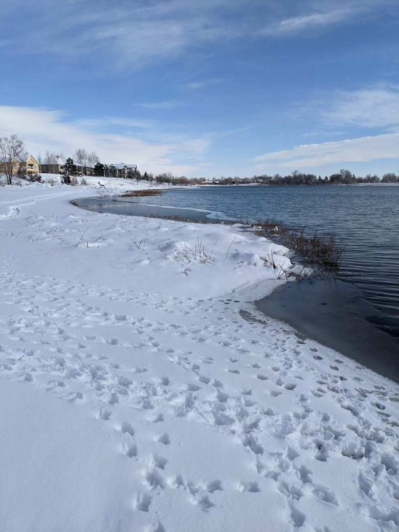 Snow on a beach by Richards Lake.