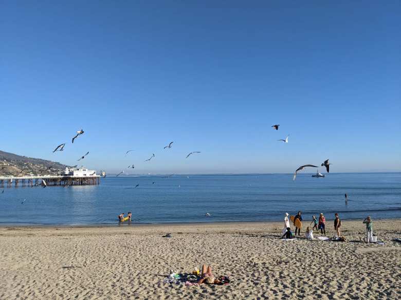 Seagulls flying above Malibu beach, where there were only about a dozen people on this November afternoon.