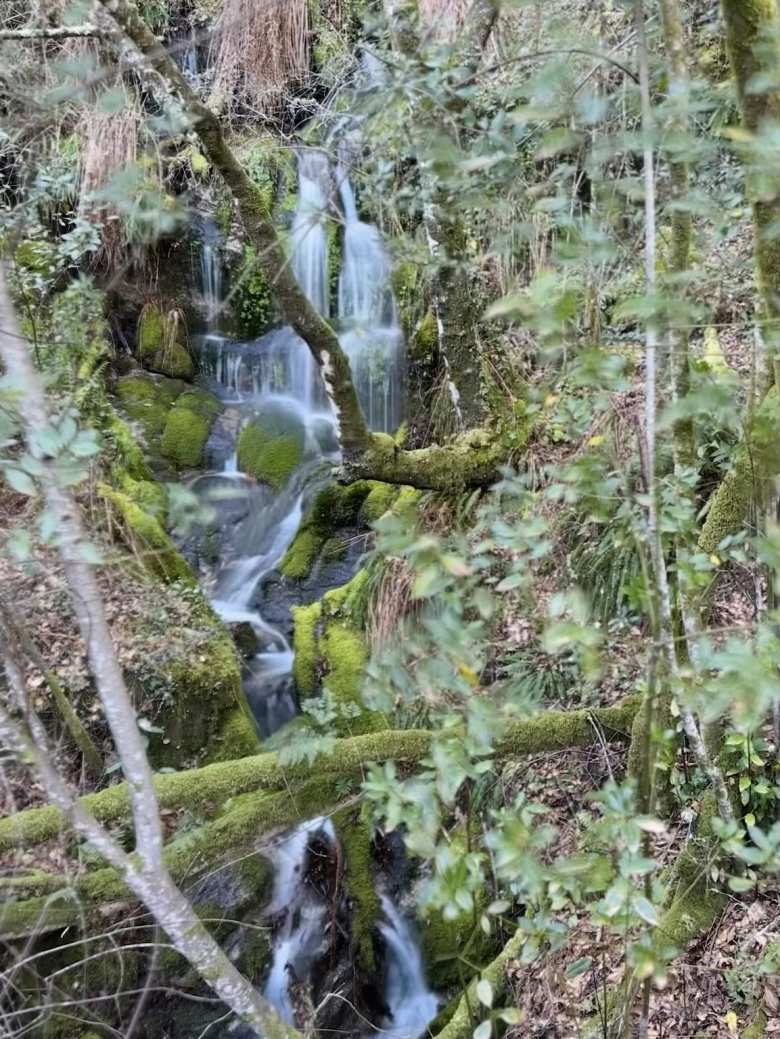 A waterfall along the Rio Verdugo.