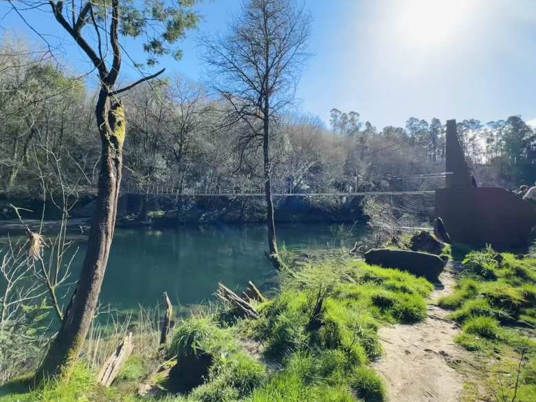 This is where we started our hike along the clear, clean water of the Verdugo River.