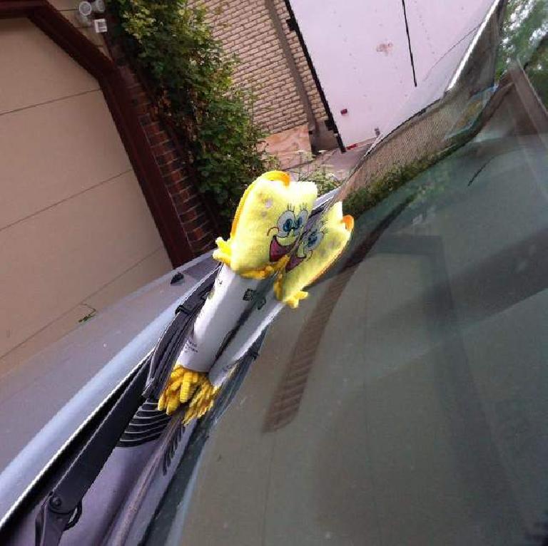 A Chinese SpongeBob was caught peeking into Alene's vehicle.