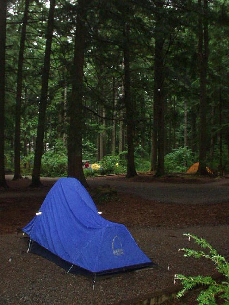 Ok, I got a preview of Vancouver's wet winters... in late August.  Last night was the first time during the entire trip I had to use the rain fly on my tent!
