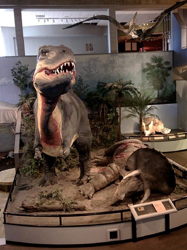 Tyrannosaurus Rex, Triceratops, St. Louis Science Center
