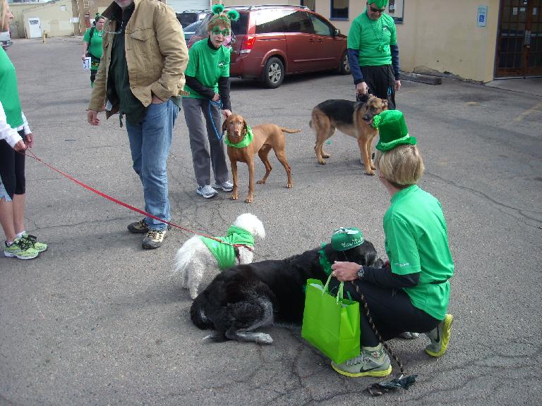 Cathy and a bunch of doggies.