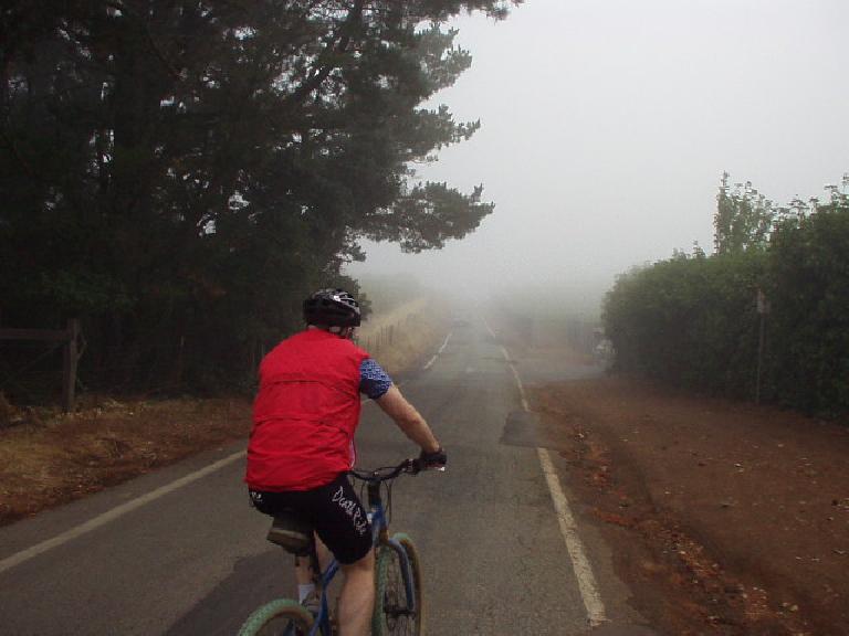 Near the top of Montebello Rd. was quite foggy.