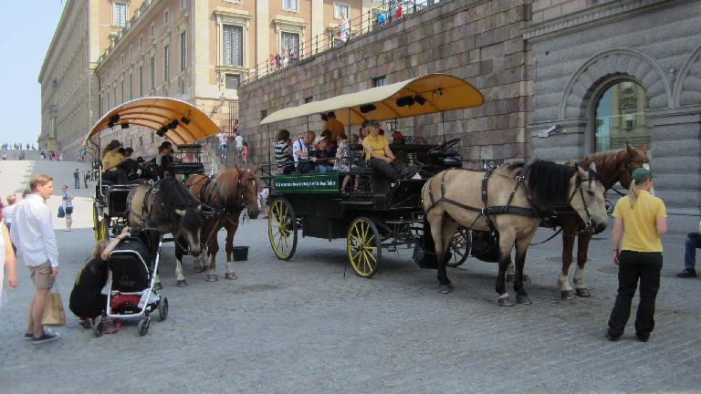 Carriage rides at the Royal Palace.