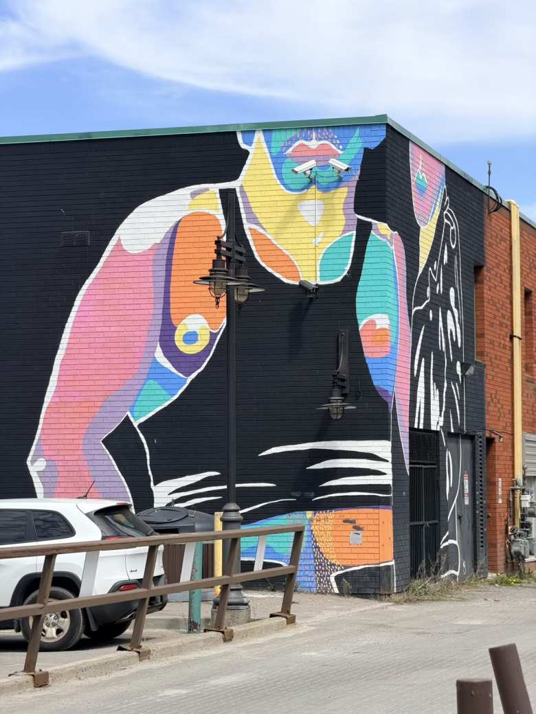 A colorful mural with surveillance cameras incorporated as cigarettes in downtown Sudbury.