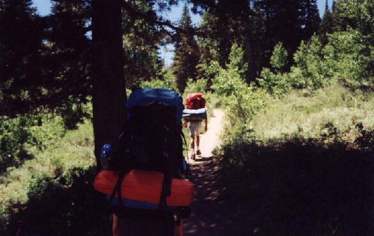 Following Esther's friends Greg and Arnold (I think) up the Tahoe Rim Trail, with 40+ pounds of camping gear on their backs!