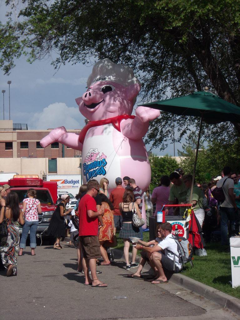 Giant pig.