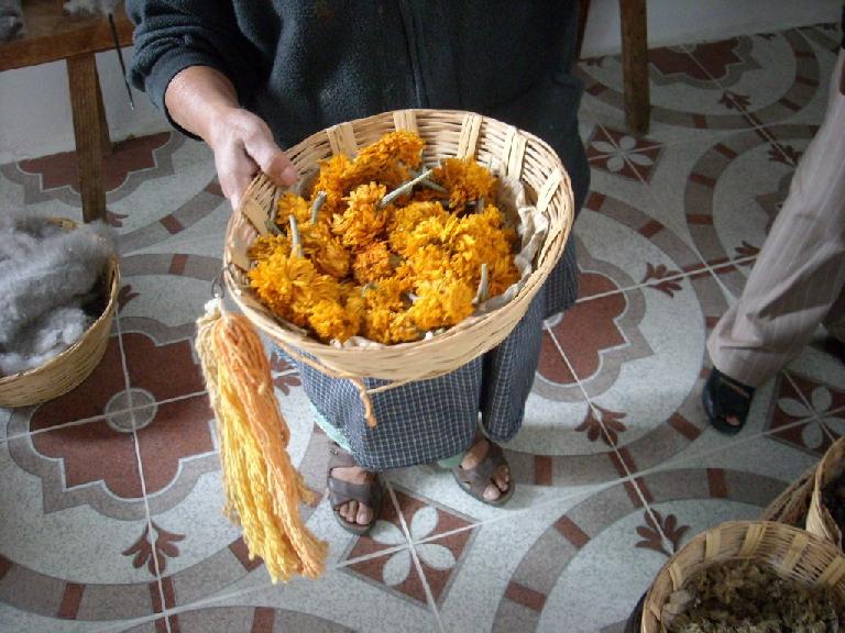Dyes were created from local plants such as these marigolds.