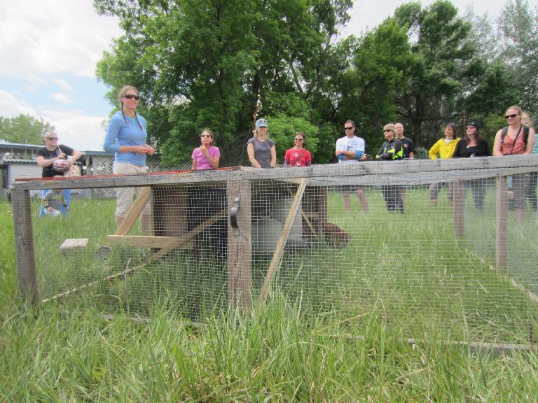 Chicken tractor: allows chickens to fertilize the ground in one spot before they are moved to a different part of the pasture.
