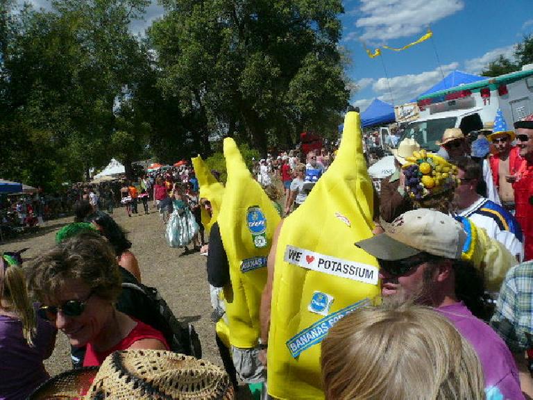 The bananas loved their potassium.