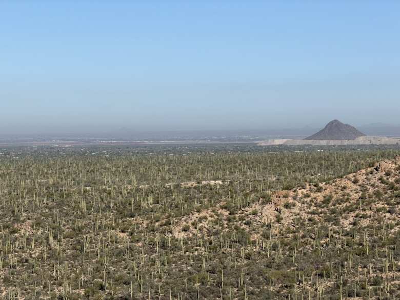 The view toward the west from the Valley View Overlook Trail in Saguaro National Park—Tucson Mountain District.