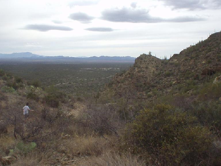 Saguaro National Park is remarkably green and lush for being in one of the driest places on earth.