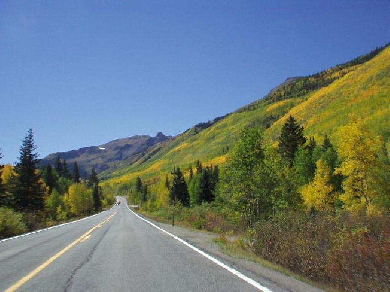 Aspen starts to become even more brilliantly yellow!