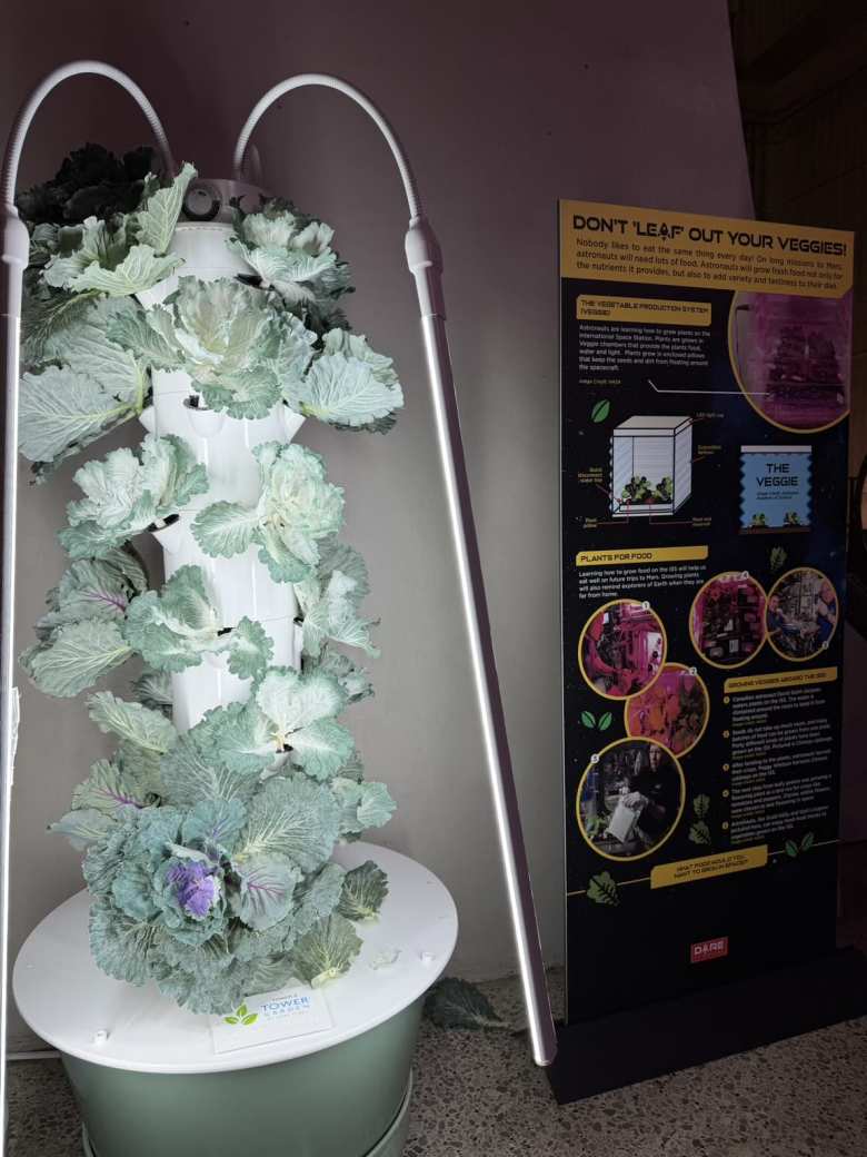 Astronauts grow food on the International Space Station. 