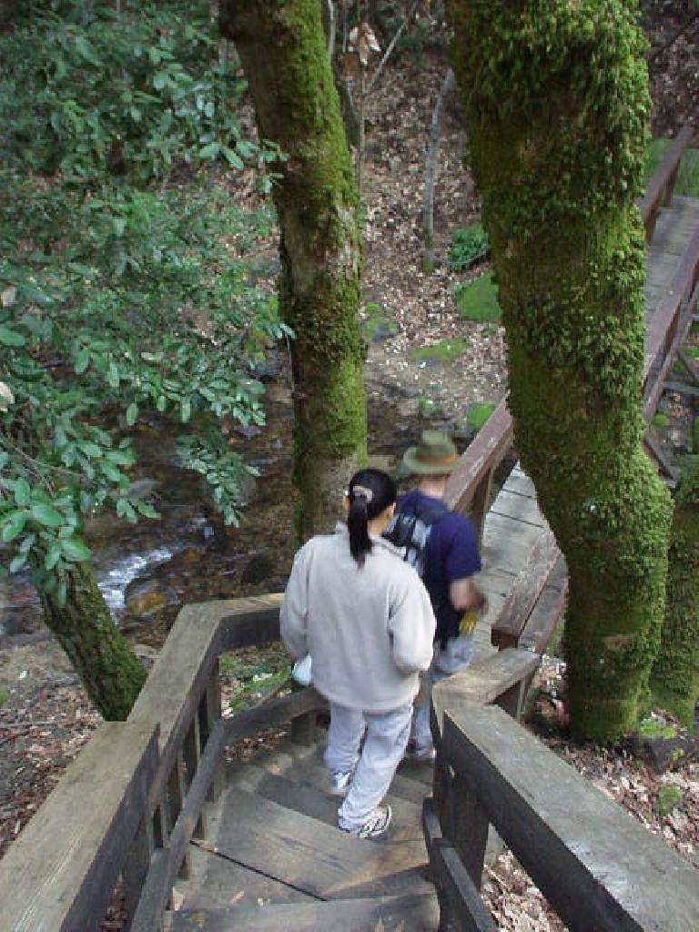 Did you know that the SF Bay Area has waterfalls?  Neither did we.  Here is Evelyn and Adrian walking down one of the several bridge walkways in the Uvas Canyon County Park.