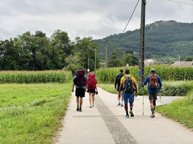 Other pilgrims walking towards cornfields on the Camino Portugués north of Padrón.