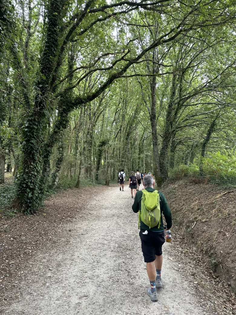 Walking behind other peregrinos in a green, wooded area in Teo.